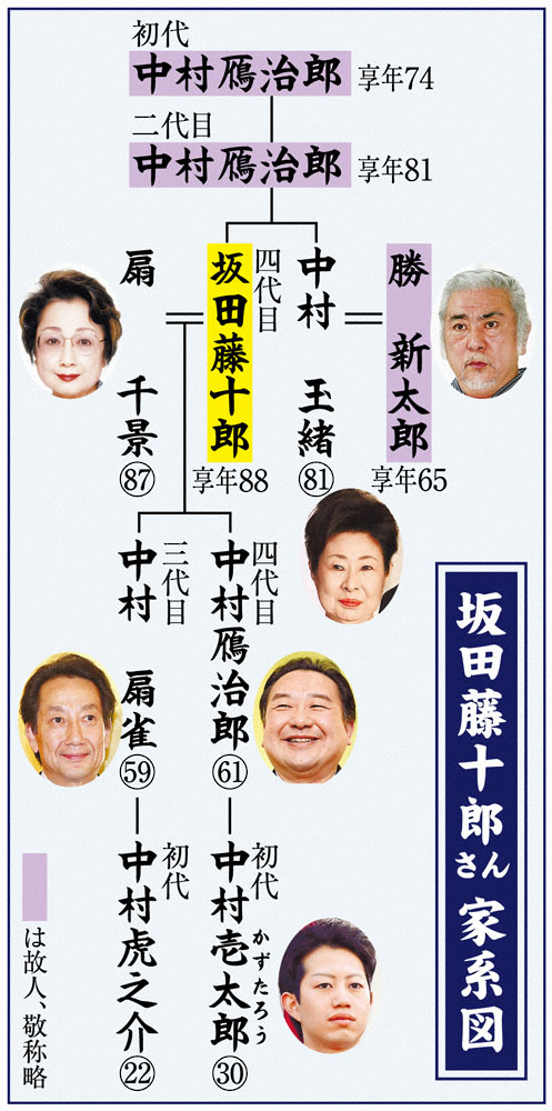 家系図 
