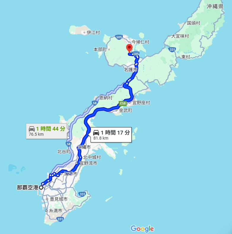 google map