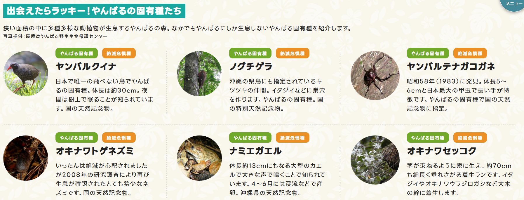 やんばる